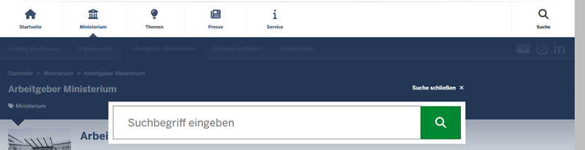 Suchfunktion der Website