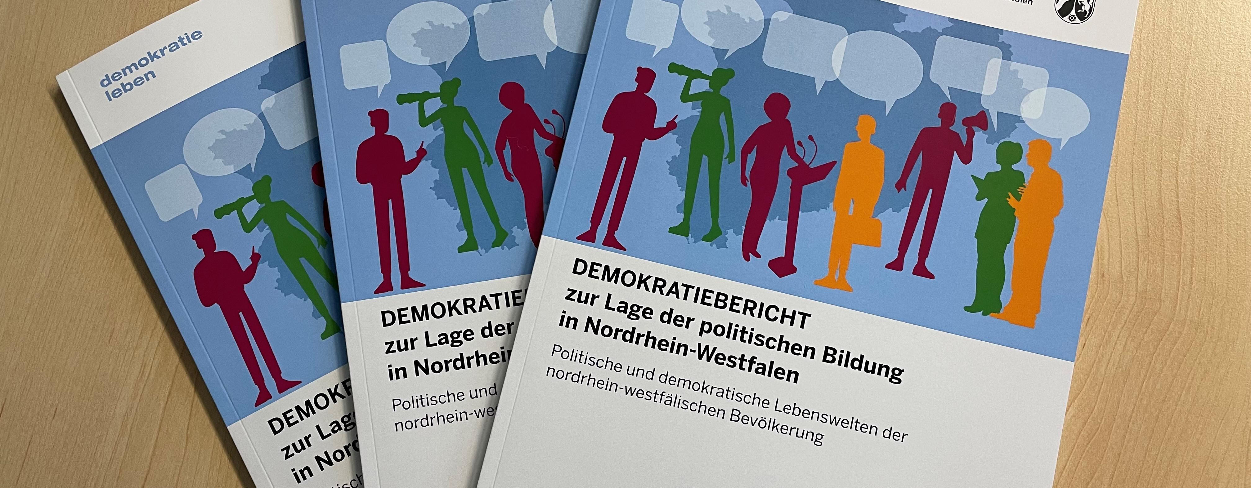 Demokratieberichte