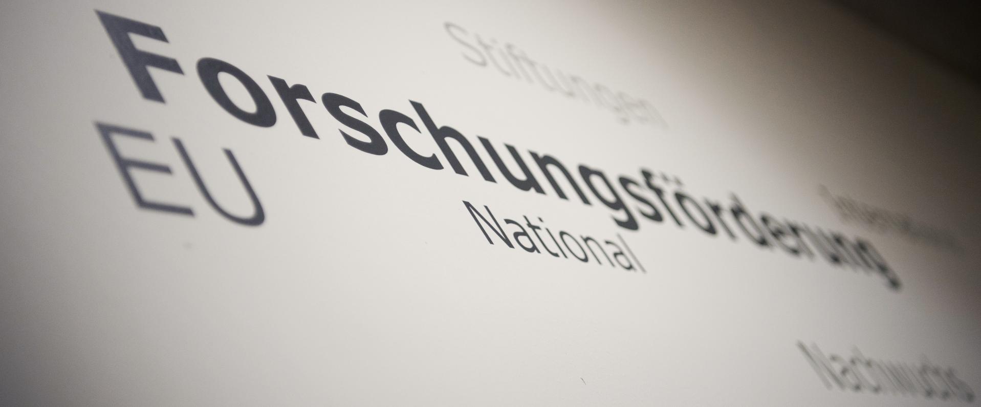 Wortwolke zum Thema Forschungsförderung