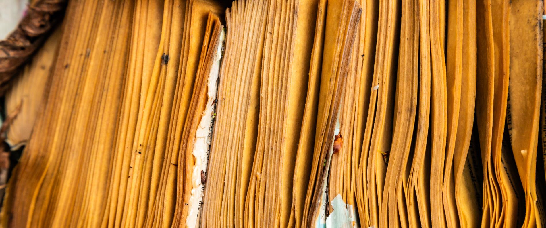 Durchnässte Bücherseiten