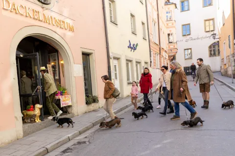 Eine Menschengruppe mit ihren Dackeln auf dem Weg zum Dackelmuseum