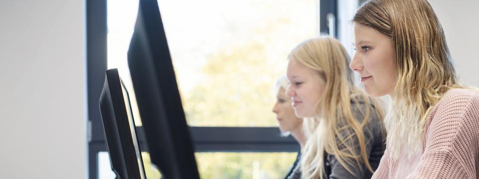 Drei junge Frauen sitzen an Computern.