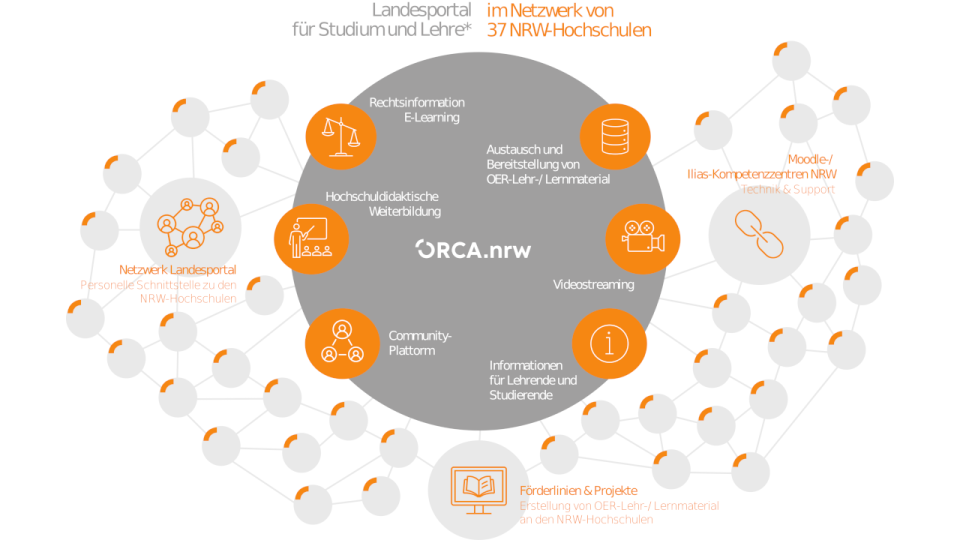 Orca Infografik