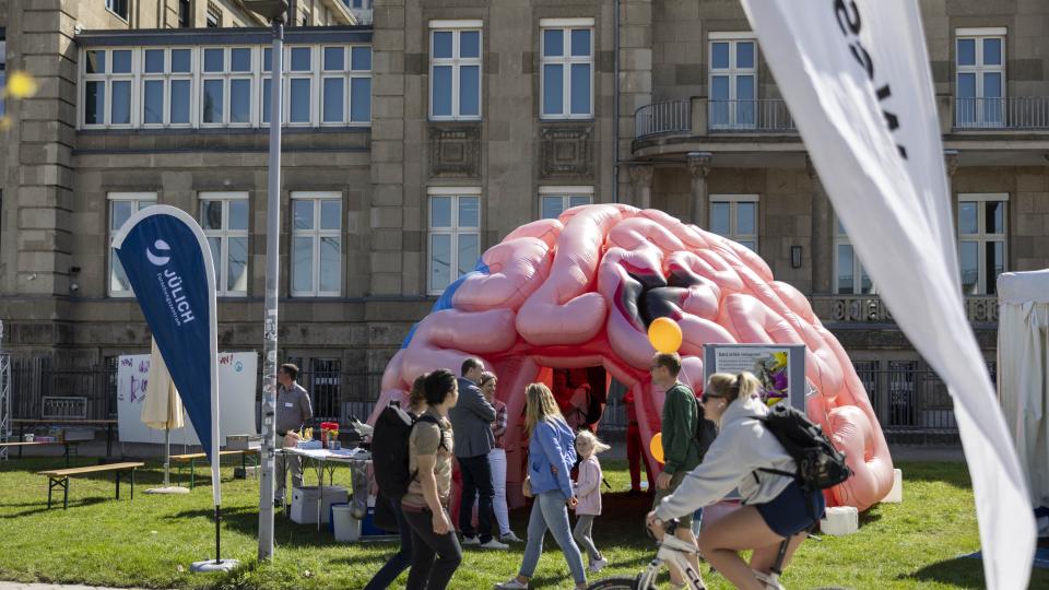 Begehbares Gehirn am Stand des MKW