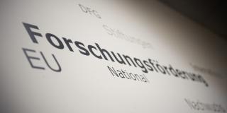 Wortwolke zum Thema Forschungsförderung